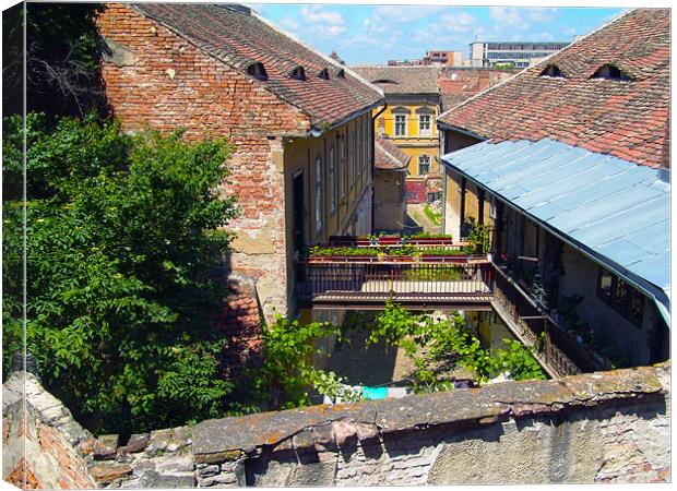 Backyard, Sibiu Canvas Print by Adrian Bud