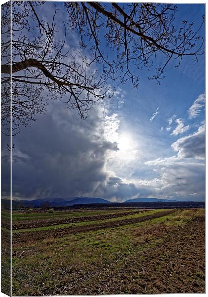 Spring plowing with angry clouds in the sky Canvas Print by Adrian Bud