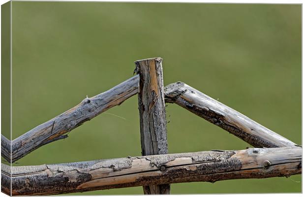 Wooden cross in a sheepfold fence Canvas Print by Adrian Bud