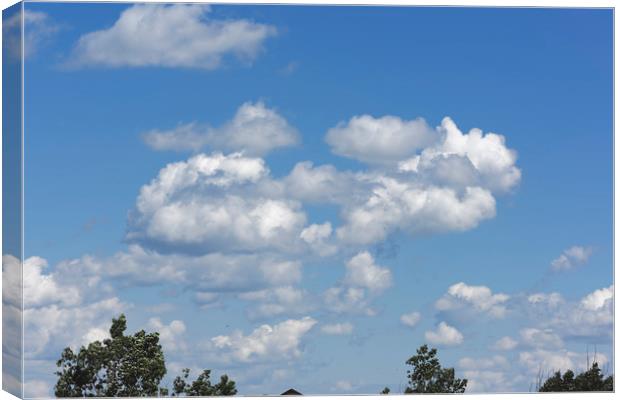 Blue sky with white clouds Canvas Print by Adrian Bud