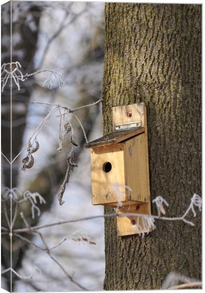 Litle box house for birds in winter tree Canvas Print by Adrian Bud