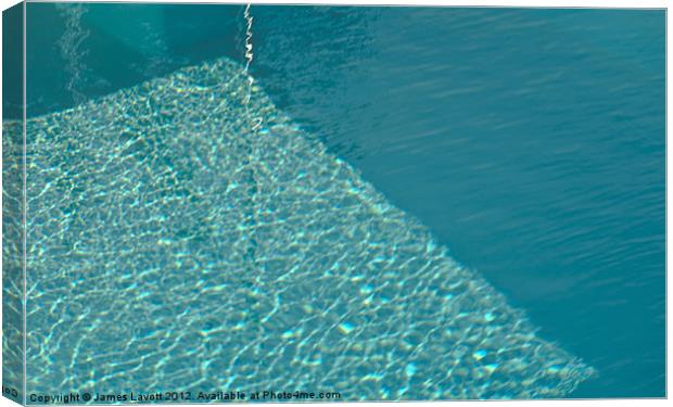 In The Pool Canvas Print by James Lavott