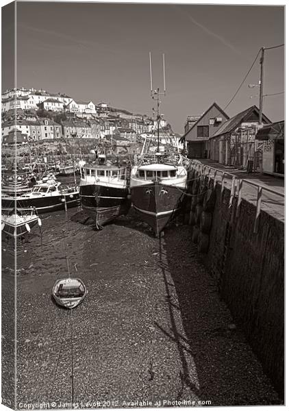 Mevagissey Trawlers Canvas Print by James Lavott