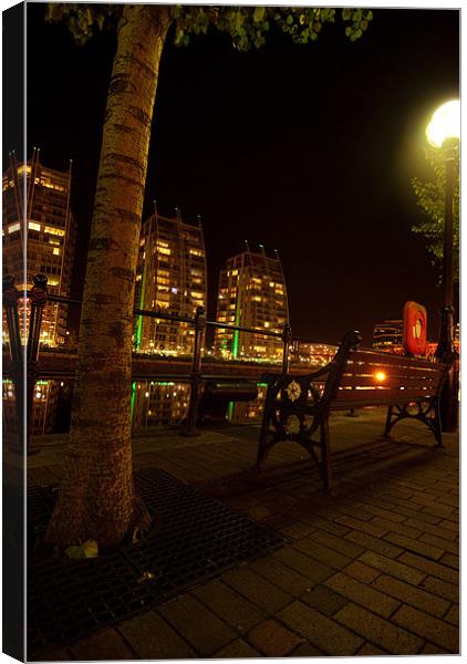 Tree At Salford Quays By Night Canvas Print by James Lavott