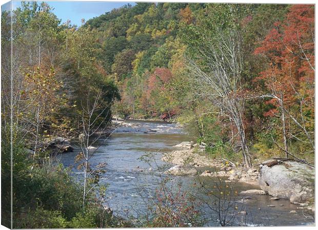 Senic West Virginia Canvas Print by david watts