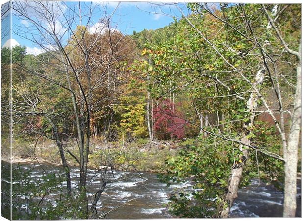 Cherry River Canvas Print by david watts