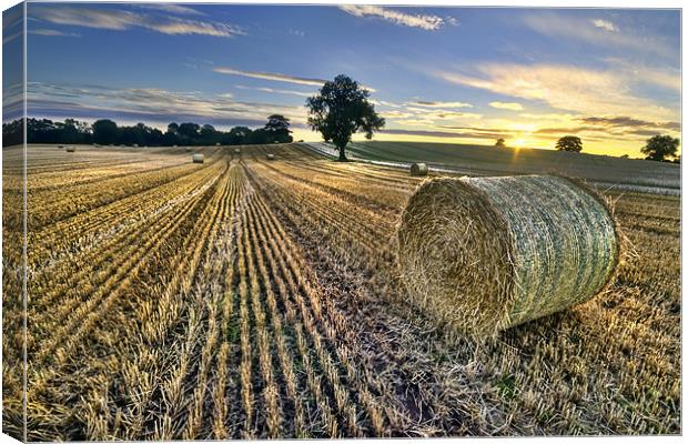 Last Of The Bales Canvas Print by Fee Easton