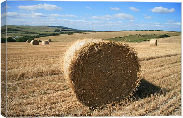 The Hay bale Canvas Print by mark blower