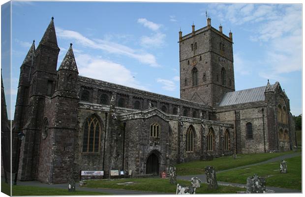 st davids cathedral Canvas Print by mark blower