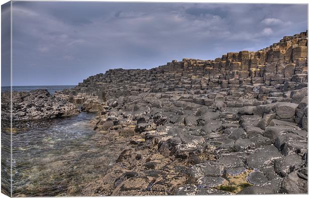 The Causeway Stones Canvas Print by Darren Smith