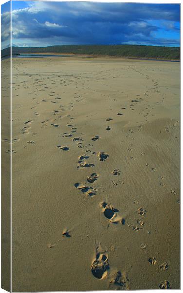 Kenton Footprints Canvas Print by Brett Hagen