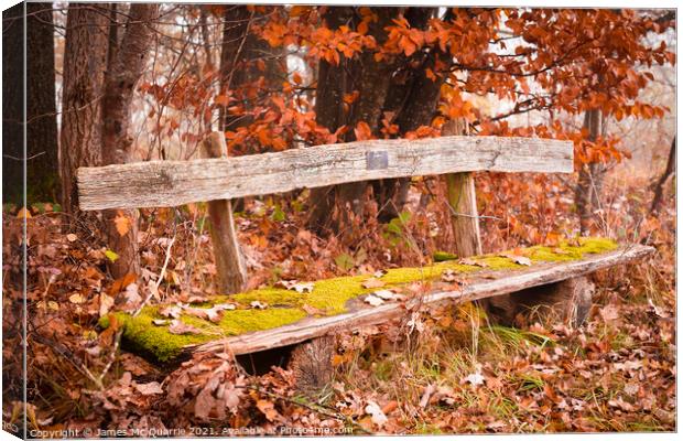 The Bench Canvas Print by James Mc Quarrie