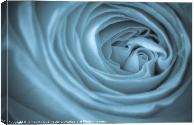 Blue Toned Rose Canvas Print by James Mc Quarrie