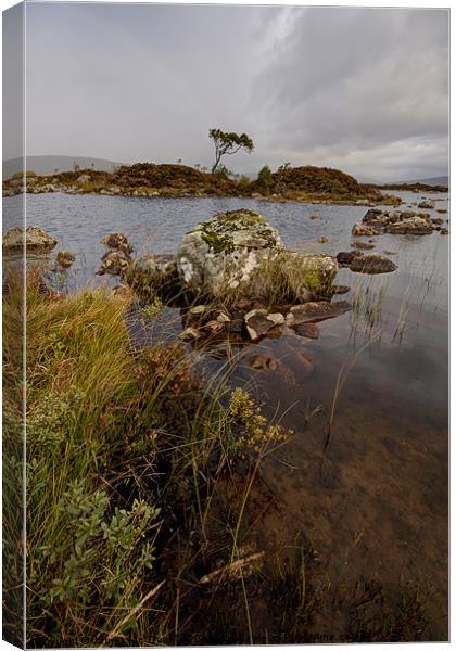 Rannoch Moor Canvas Print by James Mc Quarrie