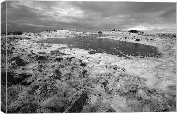 Frozen pond Canvas Print by James Mc Quarrie