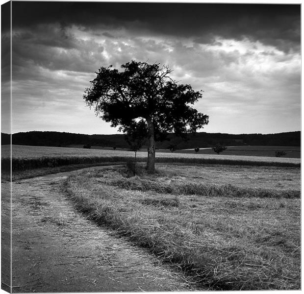 Odenwald Canvas Print by James Mc Quarrie