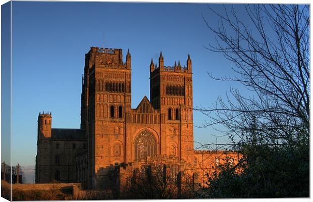 Durham Cathedral Canvas Print by Steve Wilson