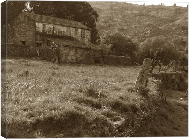 Scary house Canvas Print by Luis Lajas