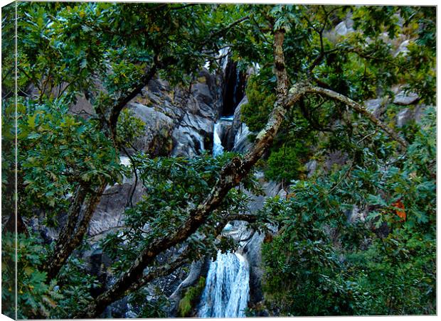Water Fall Canvas Print by Luis Lajas