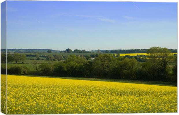 Dorset Countryside Canvas Print by James Battersby