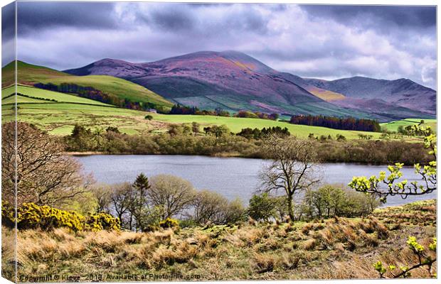 Overwater,Cumbria. Canvas Print by Kleve 