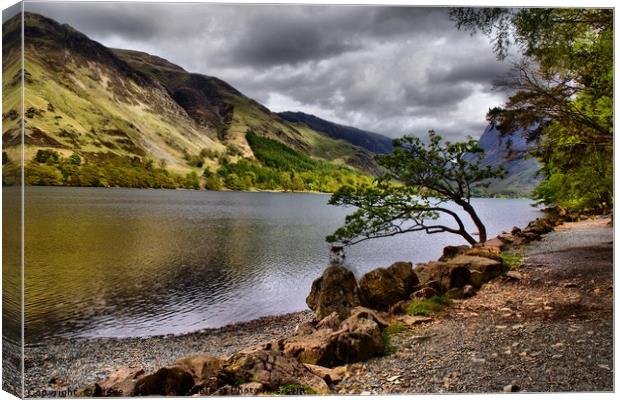 Buttermere,Cumbria. Canvas Print by Kleve 