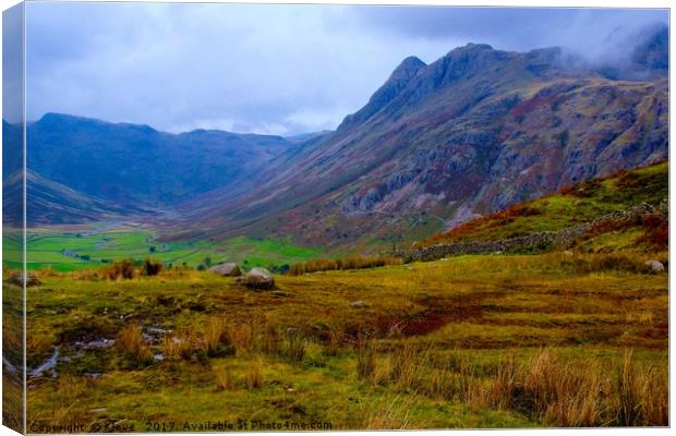Langdale Valley Canvas Print by Kleve 