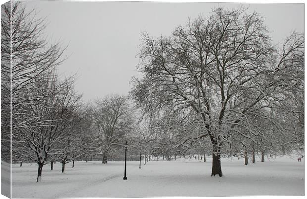 Primrose Hill In The Snow Canvas Print by Liam Kearney