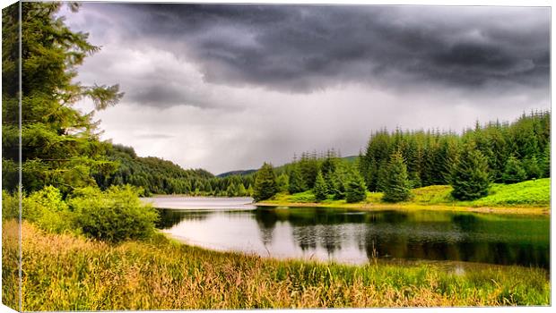 Loch Drunkie Canvas Print by Jacqi Elmslie