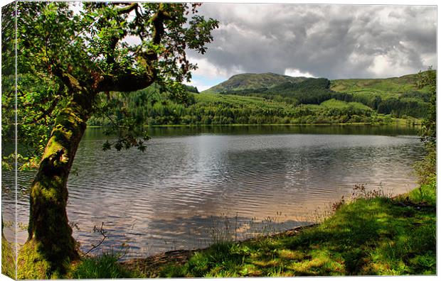 By The Side of Loch Ard Canvas Print by Jacqi Elmslie