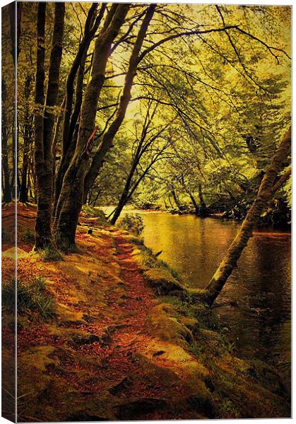Beechwoods by the River Coe Canvas Print by Jacqi Elmslie