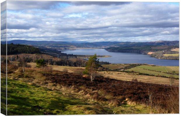 View Over Dornoch Firth Canvas Print by Jacqi Elmslie