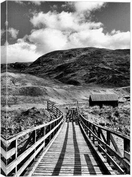 Wooden Bridge in B&W Canvas Print by Jacqi Elmslie