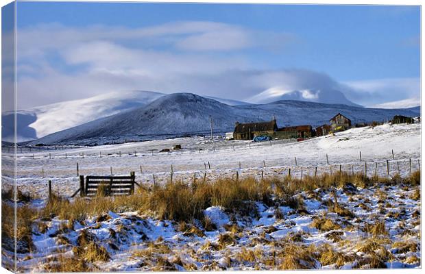A Snowy Highland Winter Canvas Print by Jacqi Elmslie