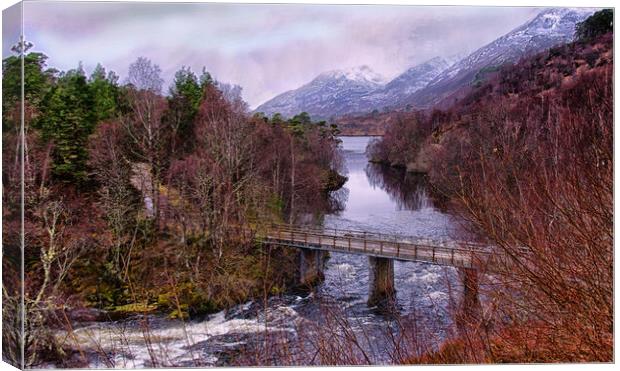 Late Winter Glen Affric Canvas Print by Jacqi Elmslie
