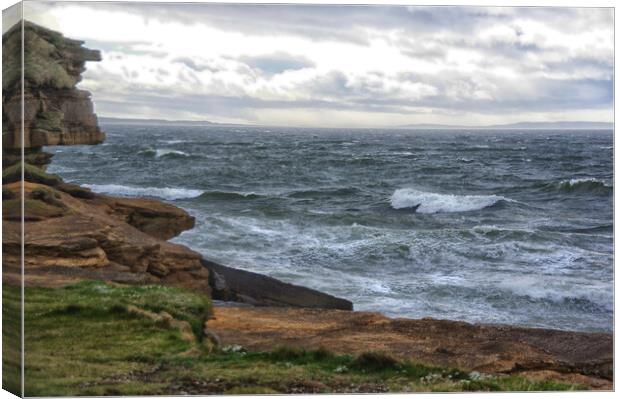 Stormy Sea at Burghead, Moray Coast Canvas Print by Jacqi Elmslie