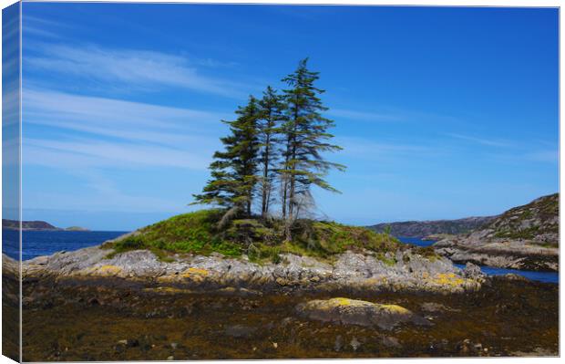 Trees on a Tiny Island Canvas Print by Jacqi Elmslie