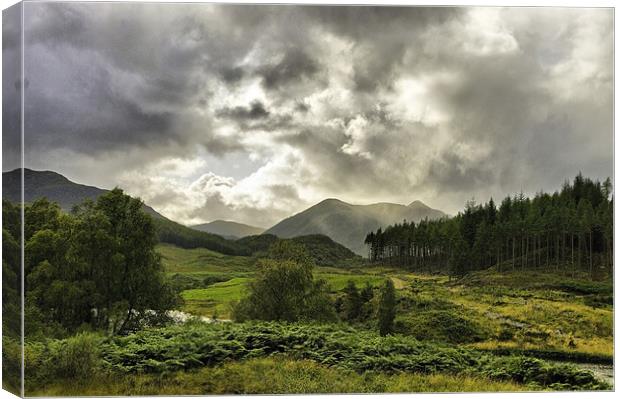 Strath Conon Canvas Print by Jacqi Elmslie