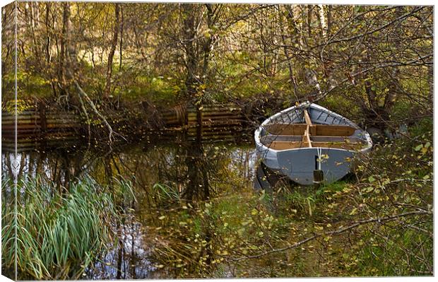 Hidden in the Leaves Canvas Print by Jacqi Elmslie