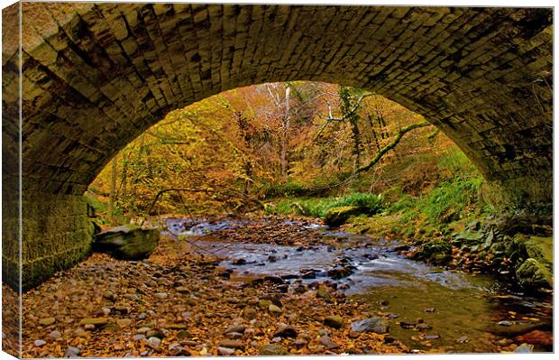 Autumn Through The Bridge Canvas Print by Jacqi Elmslie