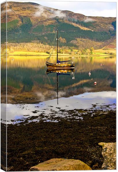 At Anchor in Scotland Canvas Print by Jacqi Elmslie