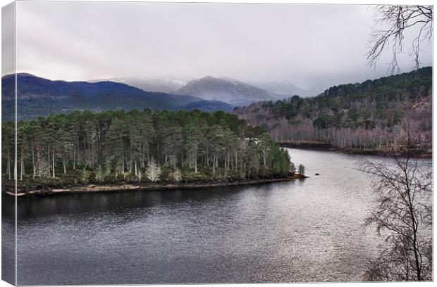 Winter in Glen Affric Canvas Print by Jacqi Elmslie