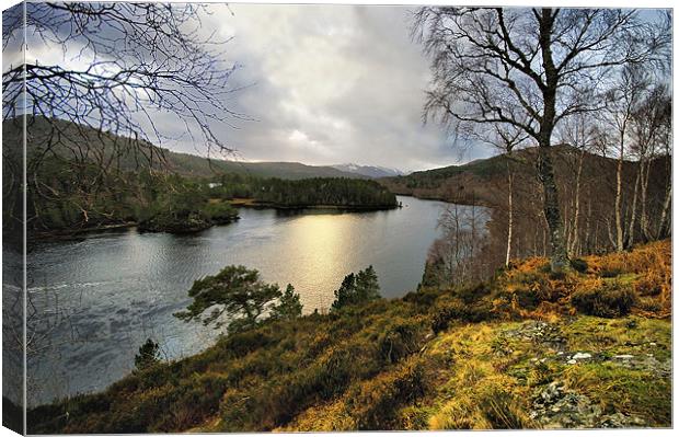 Glen Affric in Winter Canvas Print by Jacqi Elmslie