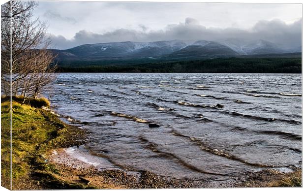 Waves on Loch Morlich Canvas Print by Jacqi Elmslie