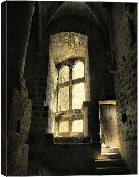 The Castle's Hidden Room Canvas Print by Jacqi Elmslie