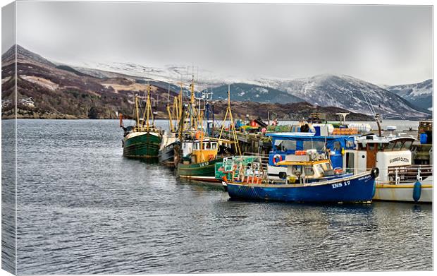 A Wintry Day at Ullapool Harbour Canvas Print by Jacqi Elmslie