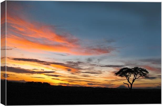 Under An African Sky Canvas Print by Jacqi Elmslie