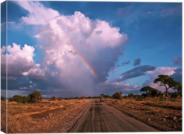 Storm Coming in the Masai Mara Canvas Print by Jacqi Elmslie
