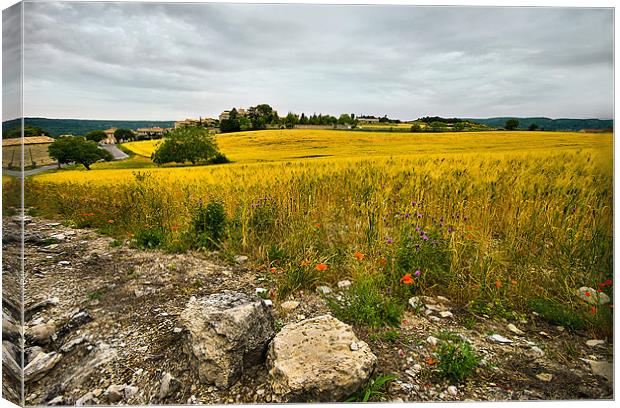 View Over the Golden Fields Canvas Print by Jacqi Elmslie