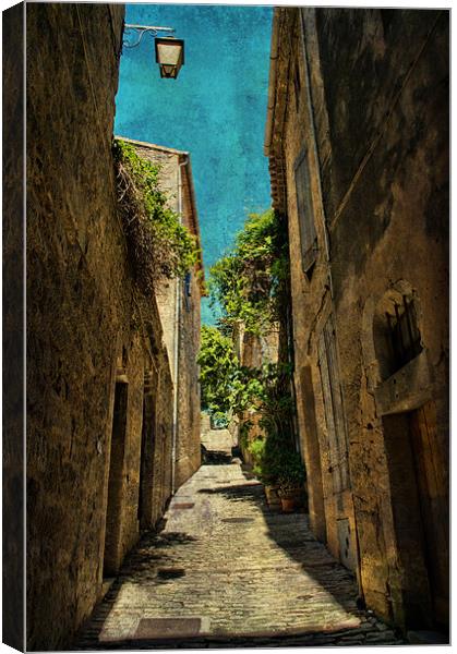 In The Heat of the Sun Canvas Print by Jacqi Elmslie
